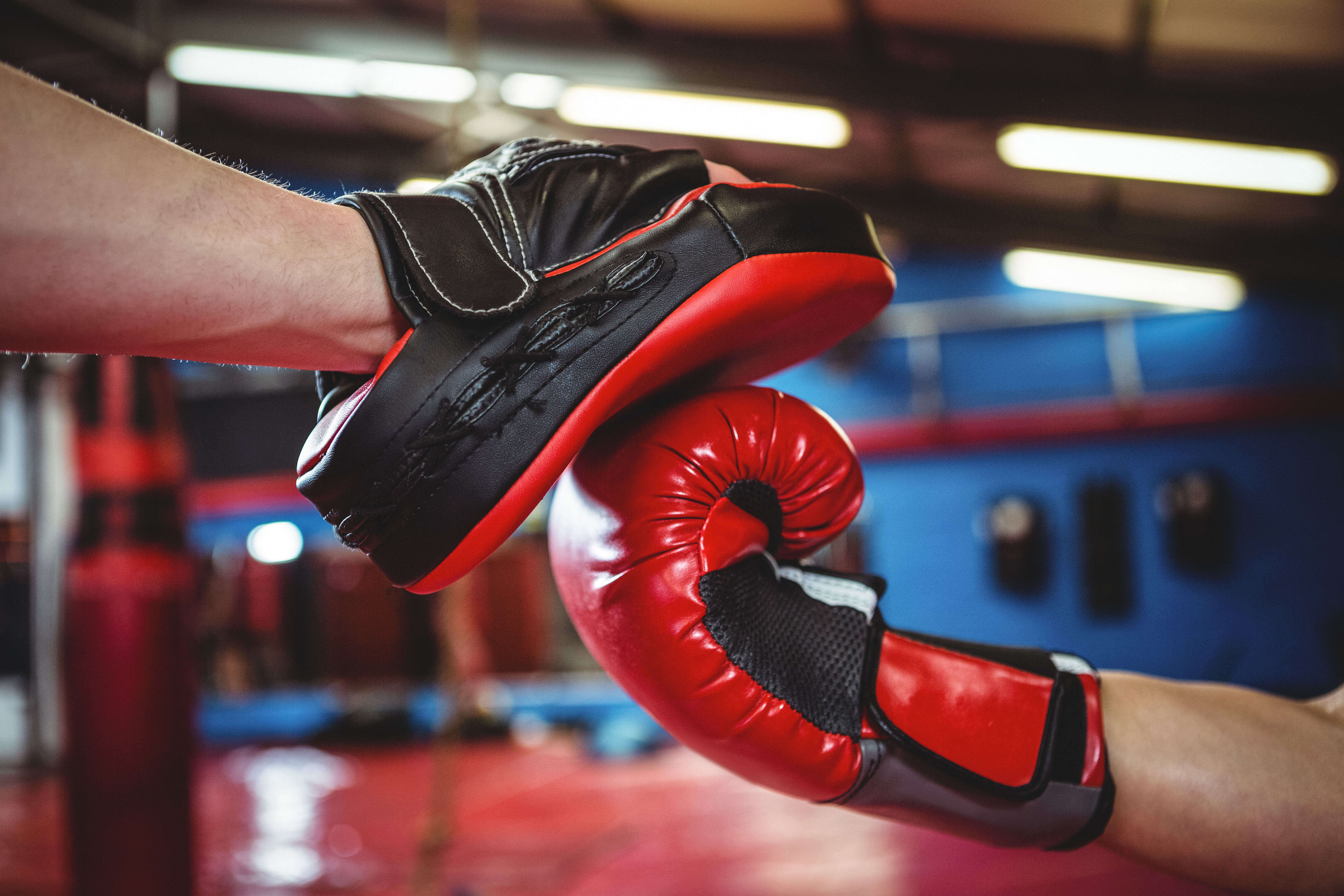 El equipamiento perfecto para entrenar en casa o al aire libre, manoplas de  boxeo! - Club de la Lucha